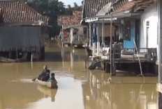 Ratusan Rumah di Kelurahan Tahtul Yaman Kota Jambi, Kembali Terdampak Banjir