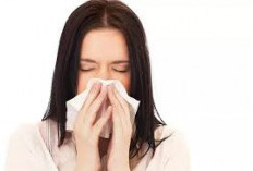 Makanan Ampuh Menghalau Flu di Musim Hujan