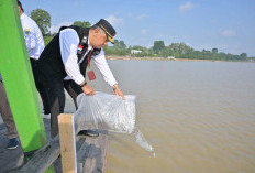 Lestarikan Sumber Daya Ikan, 22.550 Benih Ikan Ditebar di Wisata Danau Sipin