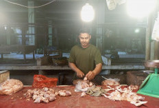 Harga Daging Ayam Masih Tinggi, Pedagang Pasar Talang Banjar Sebut Akan Terus Naik Jelang Puasa