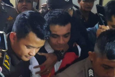 Vadel Badjideh Didakwa Langgar UU Perlindungan Anak, Terancam 15 Tahun Penjara