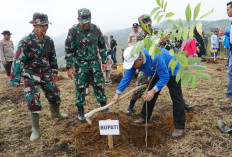 Cegah Longsor dan Banjir, Kodim 0417/Kerinci Tanam Ratusan Pohon, Kasdim: Rangkaian HUT Kodam II/Sriwijaya