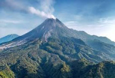 Merapi Muntahkan Lava 21 Kali, Meluncur Sejauh 1.600 Meter