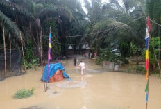  43 Rumah Terdampak Banjir