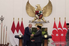 Turki Tertarik Tingkatkan Komunikasi dengan ASEAN Lewat Indonesia