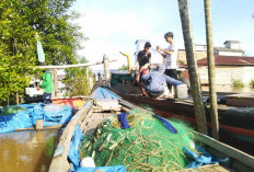Pemkab Anggarkan Rp 700 Juta, Untuk Asuransi Nelayan di Tanjab Timur