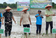 Bupati Fadhil Arief Canangkan Penanaman Perdana Padi di Desa Jelutih