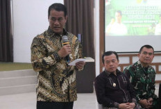Jambi Pilot Project Pengembangan Tanaman Gandum