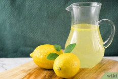  7 Khasiat Jus Lemon untuk Tubuh, Bikin Penyakit Ini Ogah Mendekat