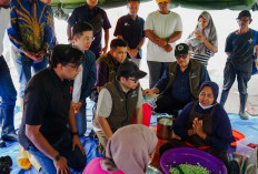 Pemulihan Jaringan Berjalan Signifikan, Lebih dari 90% BTS Indosat di Aceh Kembali Beroperasi