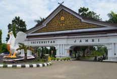 Unja Sosialisasikan Tahapan Penerimaan Mahasiswa Baru 2025 di Sekolah-sekolah di Jambi