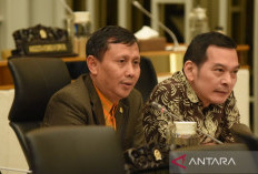 Anggota DPR Dorong KLHK Sosialisasikan Soal Hewan Dilindungi