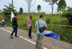 Polisi Amankan Seorang Sopir 