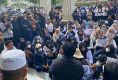 Tuntut Keadilan dan Gaji Sesuai UMP, Ribuan Tenaga Honorer Unjuk Rasa di Kantor DPRD Provinsi Jambi
