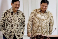 Luhut Puji Airlangga Bawa Golkar Rebound Sejak Kepemimpinan Akbar Tandjung