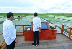 Keunggulan Smart Farming Teknologi Canggih Pertanian