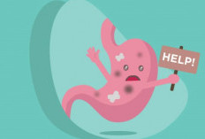 Catat! 3 Cara Alami Cegah Sakit Maag di Malam Hari Menurut Dokter Spesialis Penyakit Dalam Gastroenterologi