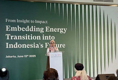 Indonesia Targetkan 17–20 Persen Energi Terbarukan di 2025