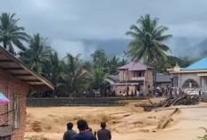 18 Titik Longsor di Bungo, Putus Jalur Pelayang–Limbur