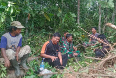 Pembukaan Jalan Satgas TMMD di Mestong Sudah 55 Persen