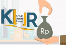 Dorong Percepatan Ekonomi, Pemprov Jambi Genjot KUR, Kredit Tanpa Agunan Jadi Kunci