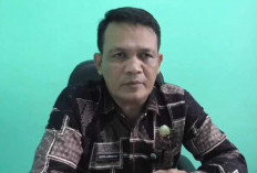 70 Kasus DBD di Muaro Jambi, Dinkes  : Masyarakat Harus Waspada