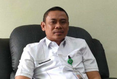 DLH akan Cek Peternakan Babi, Warga Keluhkan Air Sungai yang Tercemar