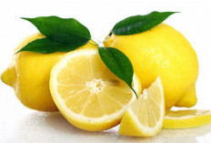 Walaupun Rasanya Asam, Ini 8 Manfaat Lemon Bagi kesehatan yang Harus Diketahui
