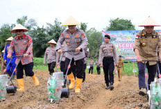 Kapolda Jambi Lakukan Penanaman Jagung Serentak