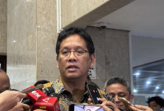 Insentif Pajak ke Danantara akan Bersifat Selektif