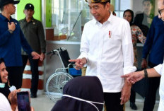 Hari Ini, Jokowi Tinjau RSUD hingga Resmikan Jalan Daerah di Sultra
