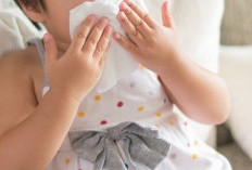 Penelitian Terbaru: Tetes Hidung Garam Memperpendek Durasi Flu pada Anak-Anak