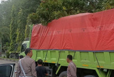 Ditlantas Polda Jambi Tindak 52 Kendaraan ODOL