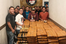 Geger! 200 Kg Ganja Ditemukan di Simpang Rimbo, Polisi Amankan Dua Orang