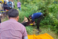 Ternyata Pasien Panti Jompo, Terkait Penemuan Jasad di Lingkar Selatan, Kota Jambi