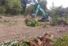  APHI Jambi Minta KLHK Tinjau Ulang Izin PT SAS