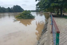  Pemkab Tebo Tetapkan Status Siaga Banjir