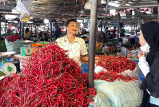 Sejumlah Komoditas Turun Harga Sembako di Pasar Angso Duo