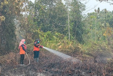  Ratusan Hektar Lahan Terbakar 