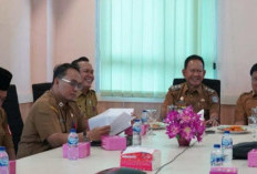 Pasokan Cabai Merah Merangin Turun, IPH Merangin Minggu Keempat September 2025 Diangka 0.18
