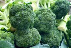 4 Sayuran dengan Kandungan Vitamin C Tinggi, Ampuh Tingkatkan Imunitas