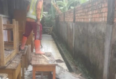 Perbaikan Bertahap Sudah Dilakukan di SDN 96 Kota Jambi