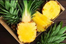 Rutin Mengonsumsi Nanas untuk Menurunkan Berat Badan