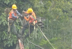 PLN ULP Rimbo Bujang Tingkatkan Keandalan Listrik dengan Program GOES'R