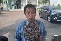 Gus Rommy Sebut Sulit Bawa PPP Kembali ke Senayan