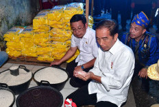 Jokowi Pastikan Stok Beras Aman Jelang Hari Raya Idul Adha