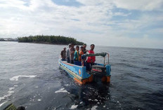 Korban Terkaman Buaya di Air Hitam Laut Tanjab Timur Berhasil Ditemukan, Begini Kondisinya 