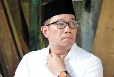 SA Tak Terbukti Anak Ridwan Kamil, Hasil Tes DNA Anak Lisa Mariana 