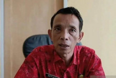 Sejumlah Hewan Ternak Mati Mendadak, Disnakan Sarolangun : Tim Kami Turun ke Lokasi