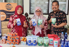 Produksi Teh Daun Sungkai untuk Tingkatkan Imun Tubuh, Inovasi Dosen UNJA, apt Uce Lestari